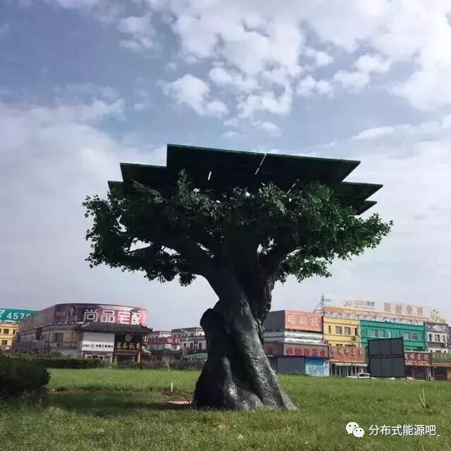 1688612882442346.jpg